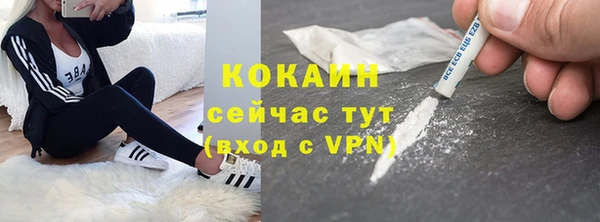 ПСИЛОЦИБИНОВЫЕ ГРИБЫ Богданович