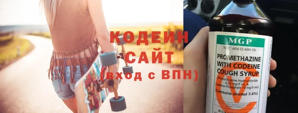 ПСИЛОЦИБИНОВЫЕ ГРИБЫ Богданович