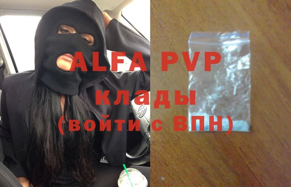 сатива Богородицк