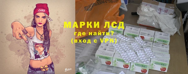 ПСИЛОЦИБИНОВЫЕ ГРИБЫ Богданович