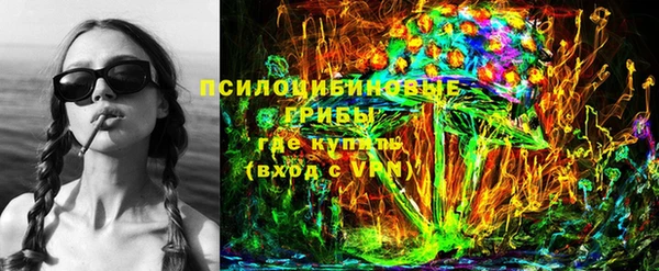 амф Богородск