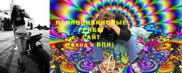 ПСИЛОЦИБИНОВЫЕ ГРИБЫ Богданович