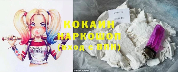 ПСИЛОЦИБИНОВЫЕ ГРИБЫ Богданович