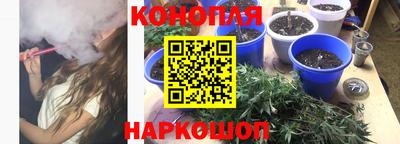трава Кингисепп
