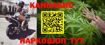 сатива Кинель