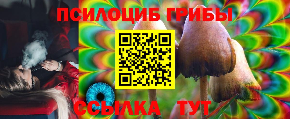 Северск  купить наркотик  Вход с VPN  Псилоцибиновые грибы Psilocybine cubensis 
