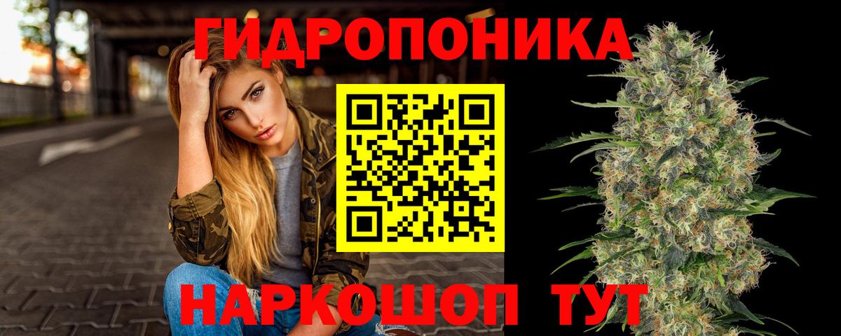 Бошки марихуана OG Kush  Вход с VPN  Северск  Бошки марихуана планчик  Бошки Шишки гибрид 